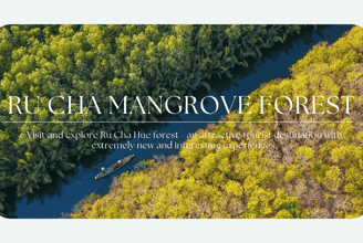 About Ru Cha Mangrove Forest, Walking Among The Green Lungs In The Heart Of Hue