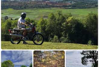 ĐỒI THÔNG DIÊN PHÚ - ĐIỂM ĐẾN TUYỆT ĐẸP Ở GIA LAI