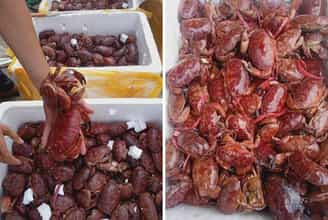 Trải Nghiệm Hương Vị Cù Kỳ - Niềm Tự Hào Quảng Ninh