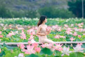 Lạc Vào Thiên Đường Sen Nở Rộ: Trải Nghiệm Tuyệt Vời Tại Mùa Sen Ninh Bình