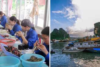 Làng Ngọc Trai Vân Đồn: Nơi Vẻ Đẹp Của Biển Kết Tinh Thành Ngọc Quý