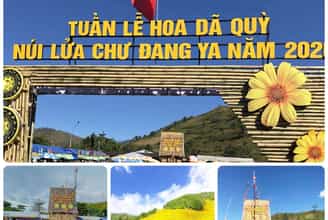 HÒA MÌNH VÀO LỄ HỘI HOA DÃ QUỲ - NÚI LỬA CHƯ ĐĂNG