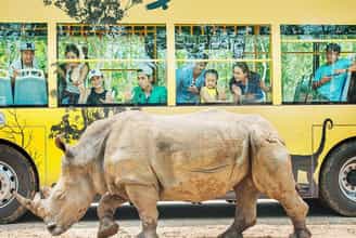 Step into the Wild: Exploring Vinpearl Safari Phu Quoc