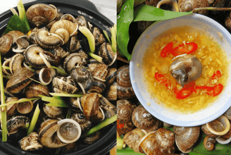 Thưởng Thức Món Ốc Núi Hoành Bồ – Đậm Đà Hương Vị Núi Rừng