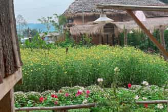 Gác lại bộn bề, về Man Farm ngủ lều, đốt lửa trại và nghe nhạc sống
