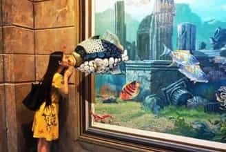 Bảo Tàng Tranh 3D Funny Art: Khám Phá Những Tác Phẩm Nghệ Thuật Sống Động