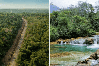 Lý Do Khu Bảo Tồn Thiên Nhiên Đồng Sơn - Kỳ Thượng Là Điểm Đến Lý Tưởng Cho Mọi Du Khách