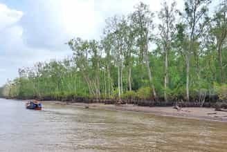 Một Ngày Ở Cù Lao Dài – Nghe Đờn Ca, Thưởng Trái Ngọt