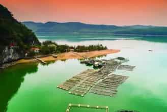 Vẻ Đẹp Hoang Sơ Của Đảo Bánh Sữa: Thiên Đường Bí Ẩn Ở Quảng Ninh