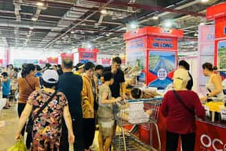 Chìm Đắm Trong Không Gian Văn Hóa Xuân Tại Hội Chợ OCOP Quảng Ninh