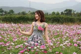 Lạc Bước Giữa Ngàn Hoa Ở Thiên Đường Quảng La Quảng Ninh