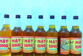 Hương Vị Đặc Trưng Của Mật Ong Yên Tử: Trải Nghiệm Vị Ngon Tự Nhiên