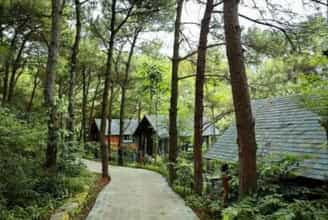 Amaya Retreat Sóc Sơn: Chốn Bình Yên Giữa Rừng Thông Hà Nội