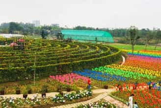 Công Viên Hoa Hồng Rose Park: Tận Hưởng Không Gian Xanh Mát Và Sắc Hoa Rực Rỡ
