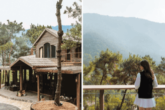 Du Lịch Đồi Llum: Trải Nghiệm Ngay Giữa Những Cánh Rừng Thông Xanh Mát