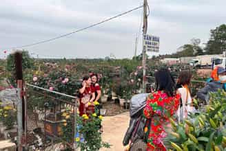 Lặng ngắm sắc hoa tinh khôi tại chợ hoa nổi tiếng Mê Linh