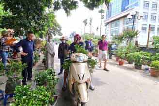 Đến Chợ Hoa Cây Cảnh Vạn Phúc, Tận Hưởng Không Gian Tươi Mới Giữa Lòng Hà Nội