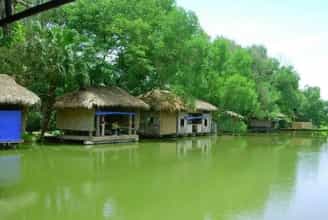 Về Với Thiên Nhiên: Khám Phá Khu Du Lịch Cọ Xanh