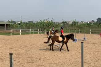 Cuối Tuần Thư Giãn Tại Hanoi Horse Riding Club Với Môn Cưỡi Ngựa Chuẩn Châu Âu