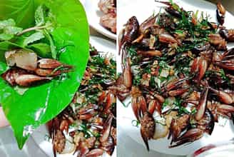 Chôm Chôm Rừng Chiên Xù: Món Ăn “Lạ Mắt, Lạ Miệng” Không Thể Bỏ Qua Ở Ninh Bình
