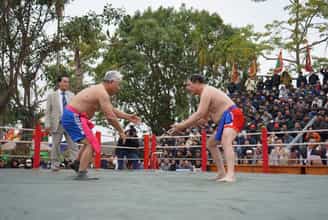 Lễ hội vật truyền thống làng Bồ Vy: Nét đẹp văn hóa của Ninh Bình
