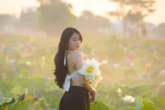 Mùa Sen Ở Huế: Bình Yên Len Lỏi Từng Khoảnh Khắc Ở Bàu Vá