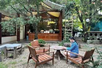 Ẩm Thực Chay Đậm Đà Bản Sắc Huế: Hãy Đến Với An Nhien Garden Vegetarian