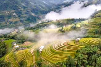 Ruộng bậc thang Hoàng Su Phì