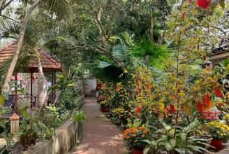 Happy Family Guesthouse: A Verdant Oasis Tucked Away on the Mekong