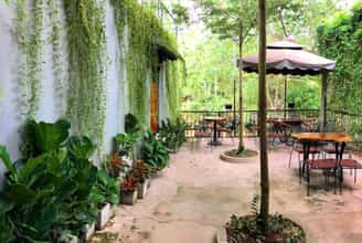 Central Coffee Vĩnh Long: Nơi Những Câu Chuyện Bắt Đầu