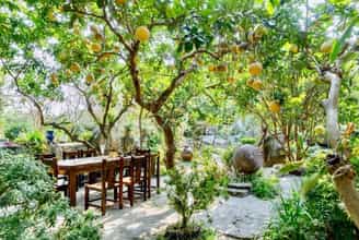 越南植物园:从A到Z的户外野餐指南