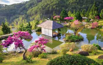 Tour Khám Phá Địa Điểm Mới 2024 Tại Đà Lạt