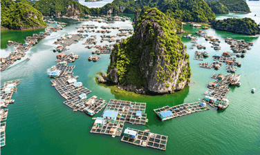 Làng chài Cửa Vạn.