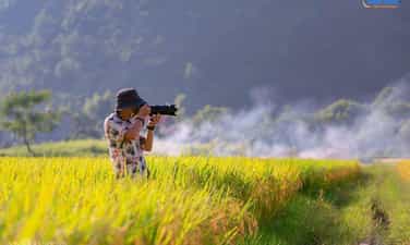 Mùa vàng vùng cao