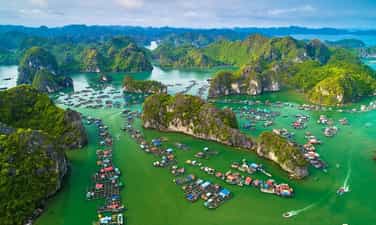 Rừng Quốc Gia Cát Bà