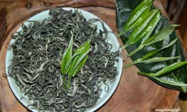 タシュア茶味