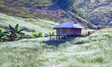 Bản Thung Cuông