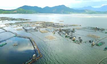 Đầm Cầu Hai