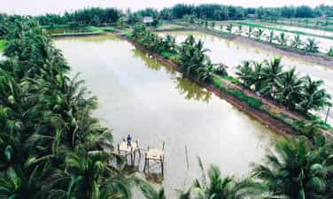 Điểm du lịch cộng đồng Cồn Chim