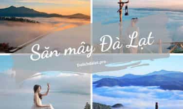5 địa điểm cắm trại săn mây tại Đà Lạt