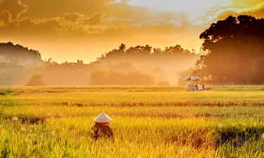 Có một miền quê thanh bình