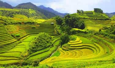 Pu Luong 峰的辉煌黄金季节