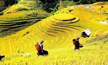 【图】红河流入越南的“黄金季节”