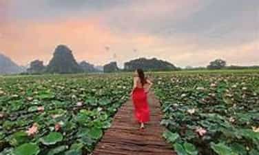 Ngắm mùa Thu lãng mạn tại 'thiên đường sống ảo' Hang Múa