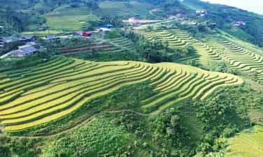 Ghé Bắc Kạn ngắm Mù Là mùa hoa nở rộ, xiêu lòng với khung cảnh đẹp như tranh