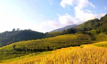 南沧黄金季节风景如画,吸引年轻人打卡