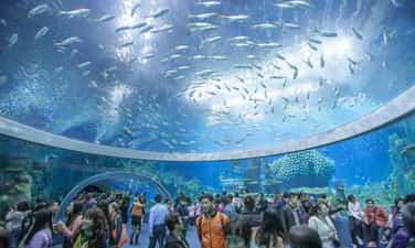 Viện Hải dương học Nha Trang