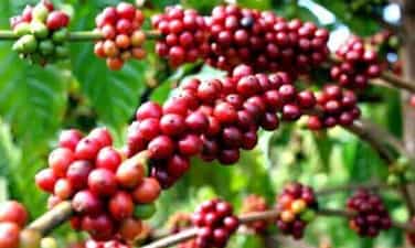 Khám phá 3 nơi đặc biệt ít người biết tại Việt Nam