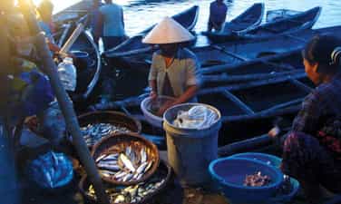 Khám phá làng chài Ngư Mỹ Thạnh trên phá Tam Giang