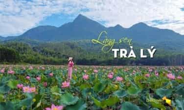 Vẻ đẹp lung linh của đầm sen Trà Lý, Duy Xuyên